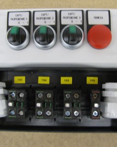 Tableau Egg collection